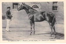 61 - HARAS DU PIN - SAN30793 - "Mysarch" - Pur sang anglais - Par "Monarch" et