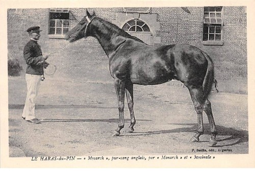 Haras pin san30793 - haras,