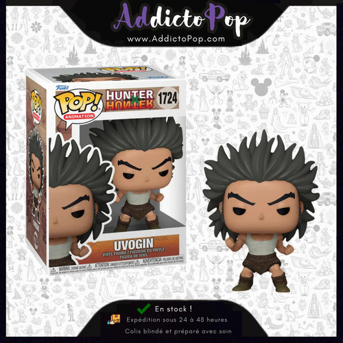 Funko pop hunter - hunter, x