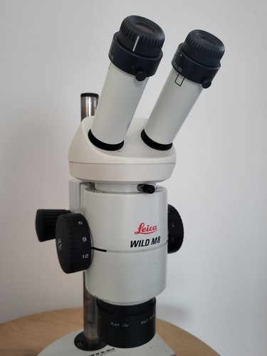 Leica wild - leica, m8