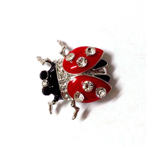 Broche élégant dégoulinant - broche,
