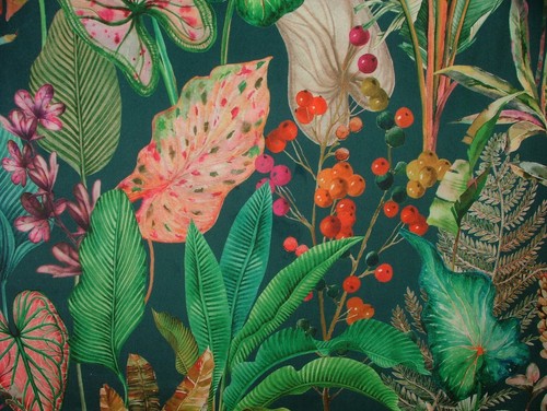 Tropical palmiers plantes - palmiers, et