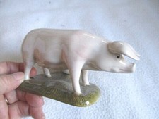 COQUETIER  COCHON TRUIE EN
