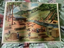 TABLEAUX DE GEOGRAPHIE Collection Rossignol 57 Le travail dans la forêt et 58