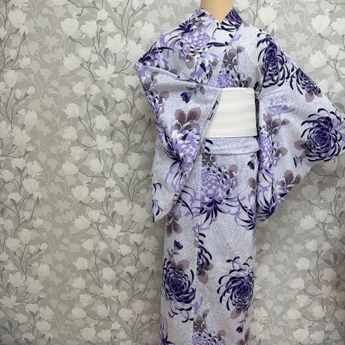 Yukata chrysanthemum purple - chrysanthemum,,