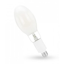 LED Filament Lampes de Parcs