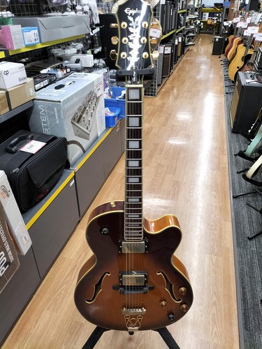 Guitare électrique intégrale