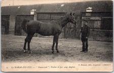 61 LE HARAS DU PIN - Humewood, etalon de pur sang anglais