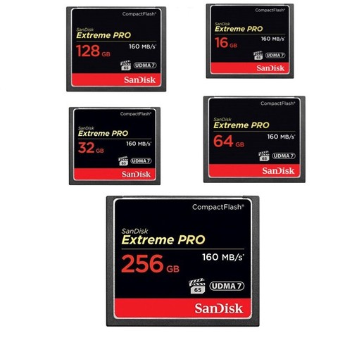 Sandisk extreme pro 16go - pro,