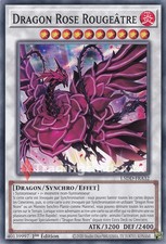 Dragon rose - dragon,