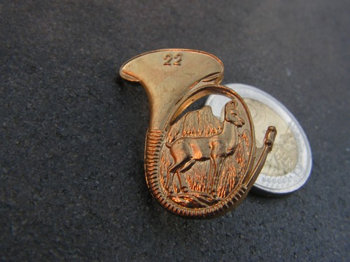 Pins insigne chasseur - pins, alpins