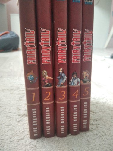 Manga fairy tail tome 5 - manga,