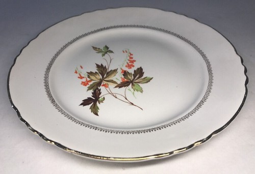 Lot3 assiettes plates - lot3, 4