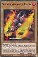 ♦Yu-Gi-Oh!♦ Salamangrande Taupe (Mole) : SDSB-FR002 -VF/Commune-