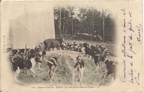 Hunting scene running - scene,