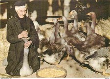 Metiers - La Gaveuse d'oies - Les petits métiers de chez nous - Carte Gauffrée -