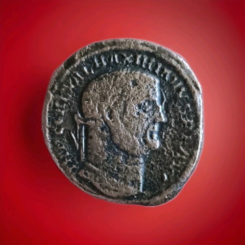 Follis maximus galère tb - r1,