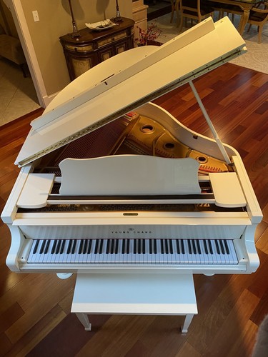 Young chang baby - piano,