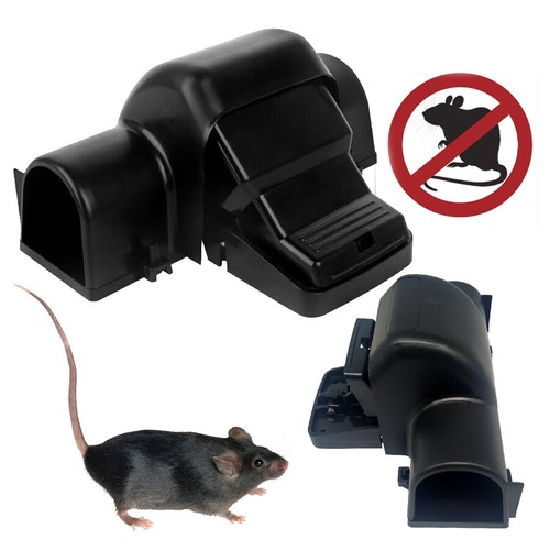 Piège souris plastique - piège, à