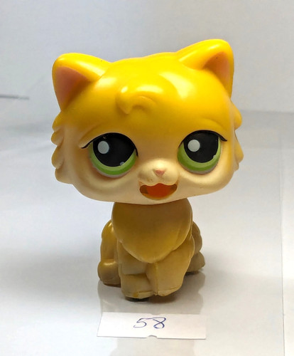 Petshop chat persan - , magic