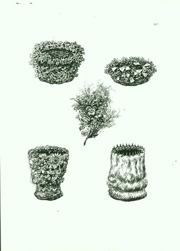Gravure ancienne alsace 1970 - gravure,