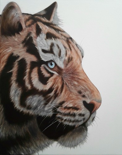Peinture tigre huile sur - peinture,, tigre,