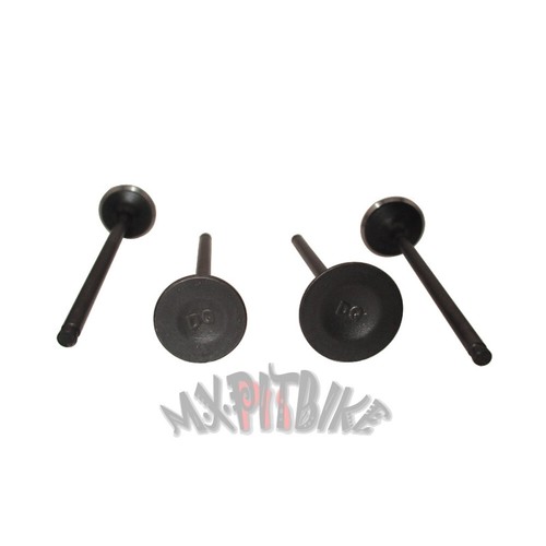 Intake exhaust valves - valves, for