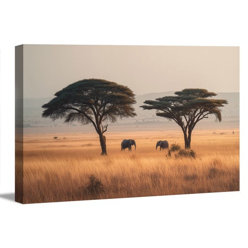 Images sur toile - ,