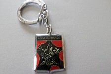 Porte cle clef key - clef, ceps