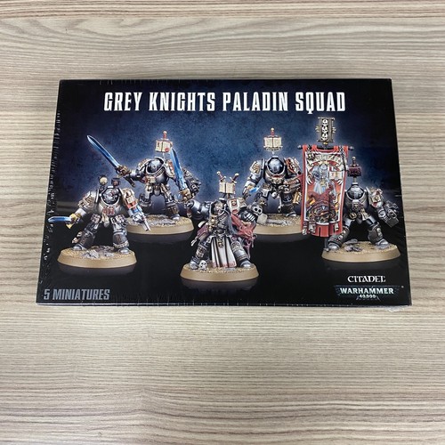 Gris chevaliers paladin - gris,