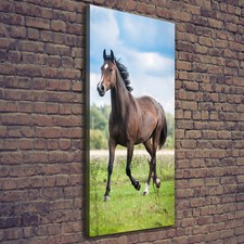 Tulup Tableau Sur Toile Image Imprimé 50x125 - Cheval sur le terrain