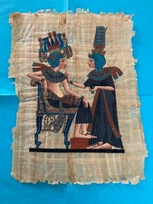 Papyrus environ 30 cm - x,