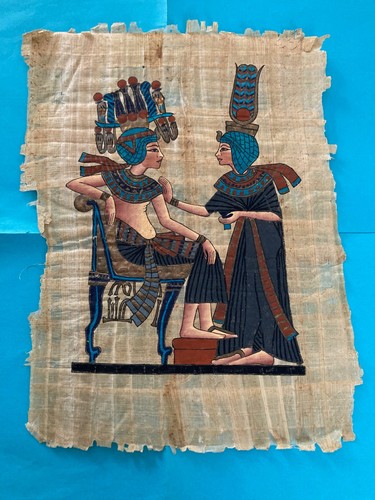 Papyrus environ 30 cm - 20,