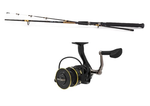 Ensemble canne spinning - ensemble,