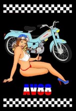 tableau mobylette MOTOBECANE