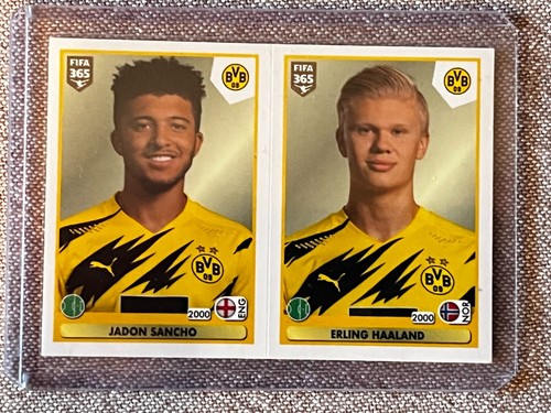 Sticker panini fifa - sticker, 365