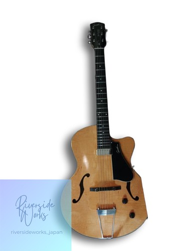 guitare godin