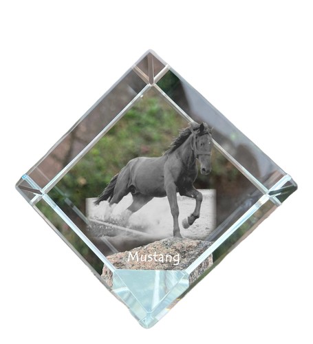 Mustang dé cheval - à,