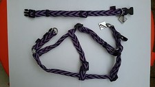 Collier + Harnais Chien BOBBY Nylon Taille 18/30cm Design Chevron Noir Violet