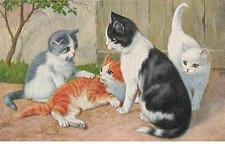 Animaux - Chat - Chats jouant