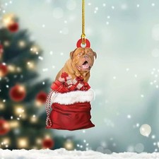 Dogue De Bordeaux Dog In Gift