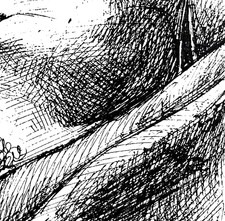 Dessin original d'art moderne