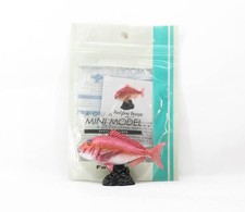 Favorite AF-204 Display