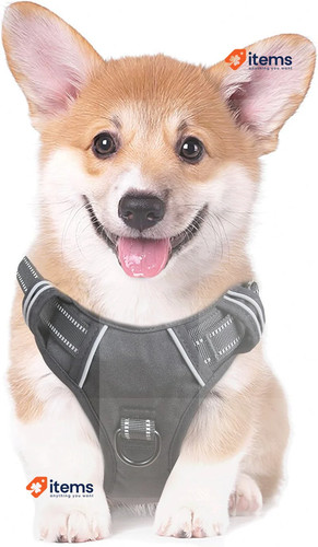 Heele chien harnais - heele, m