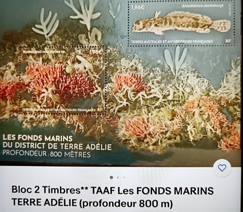Bloc timbres taaf les - timbres**,