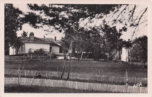 Albi foret la gresigne - 81,