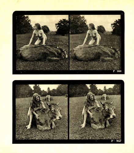 Vues stereoscopiques 1900 - vues,
