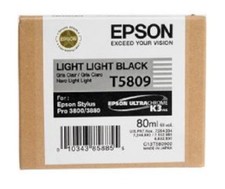 Original Encre Epson Style Pro 3800 3880/T5809 Lumière Noir Cartouche