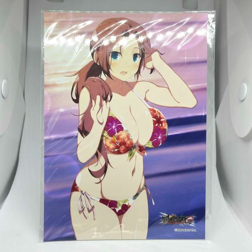 Hijikata senran kagura new - 10,