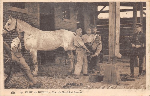Bitche camp chez - camp-chez, le